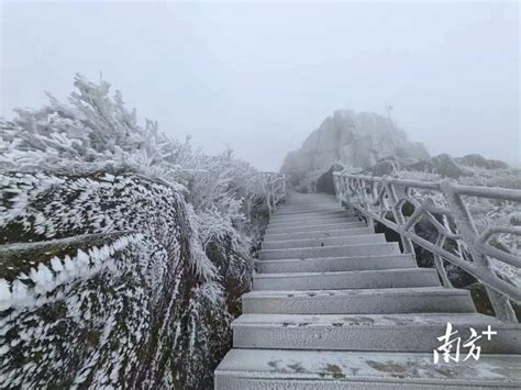 廣州下雪|真的实现了！广东下雪了！